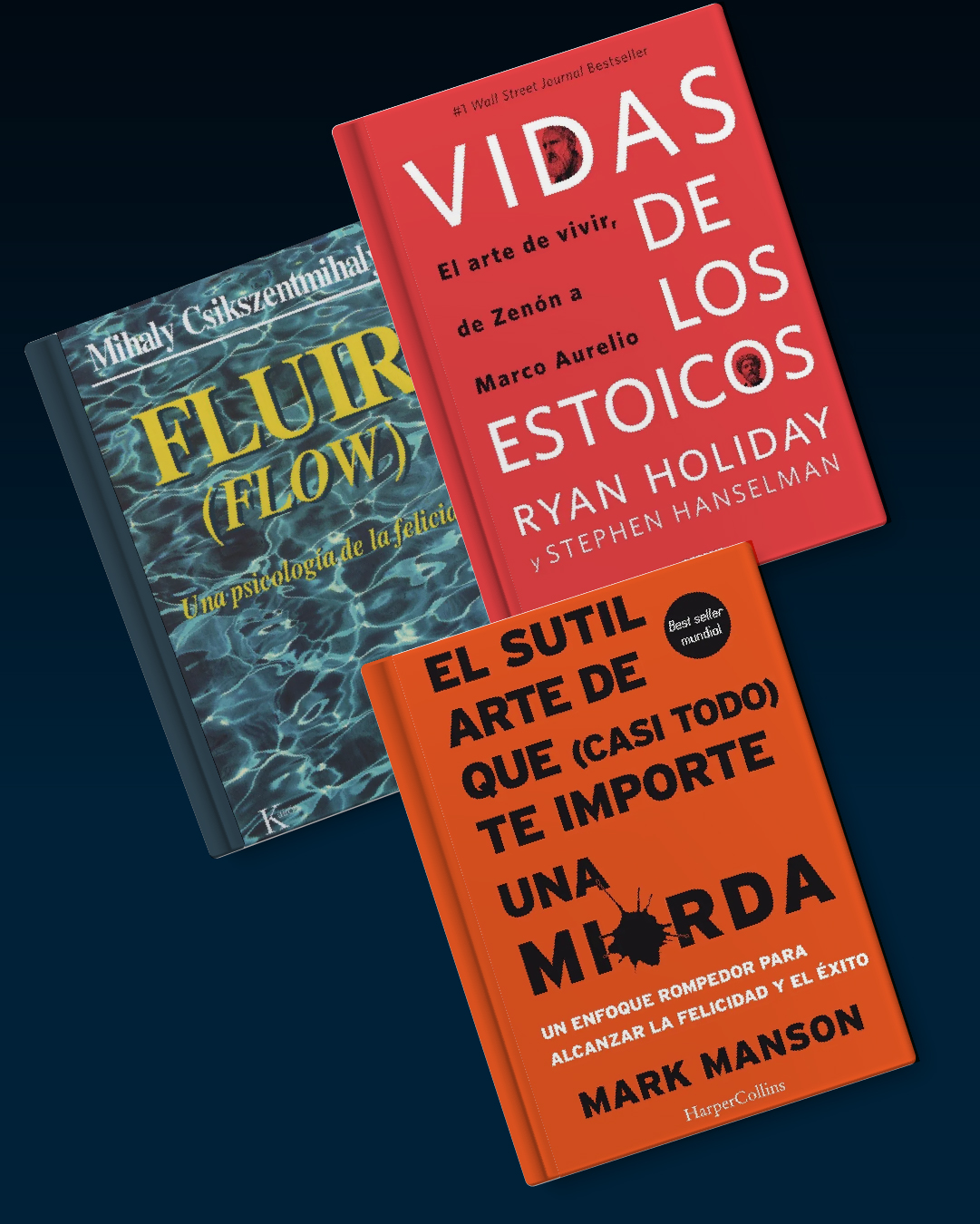 COLECCIÓN NAVEGANTE