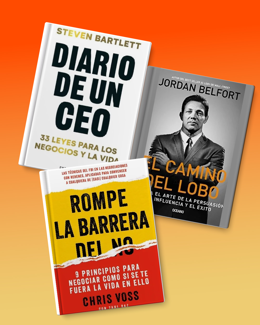 COLECCIÓN LÍDER EMPRENDEDOR